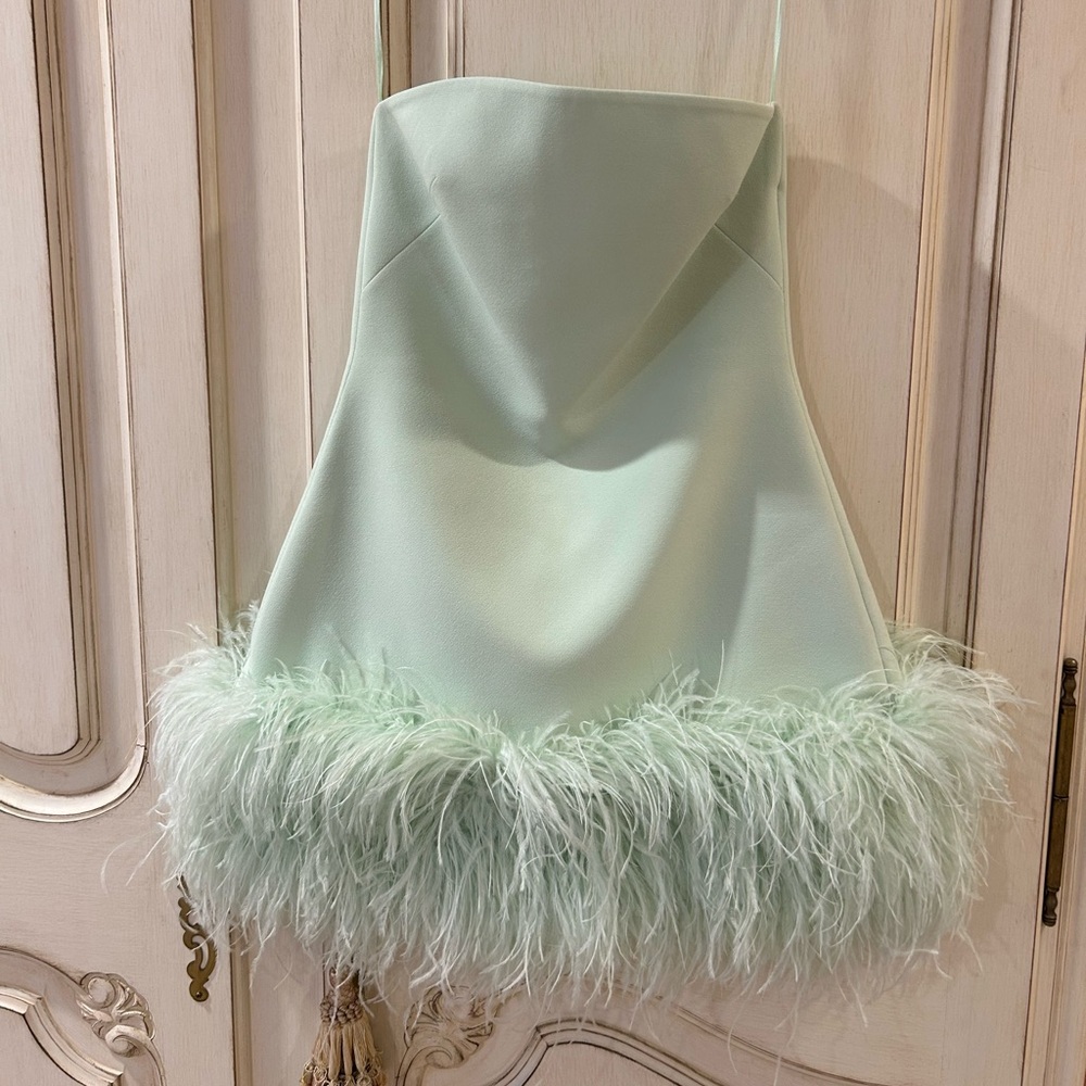 SAFIYAA Rowan strapless feather-trimmed crepe mini dress worn once - Picture 5 of 8